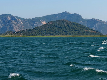 photo 1104653