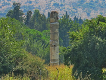 photo 1105533