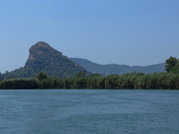 photo 1110397