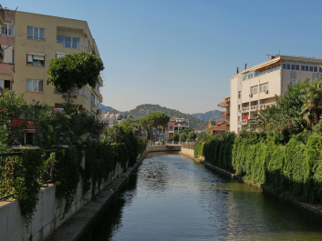 photo 1132377