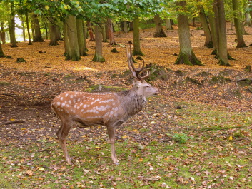 photo 1543175