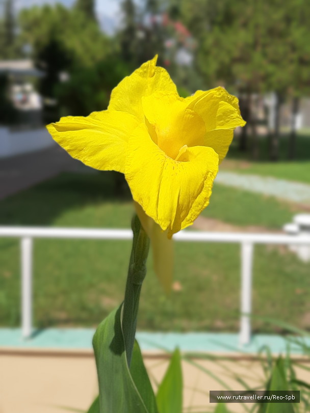 photo 1802292
