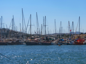 photo 2015442