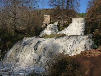 photo 475834