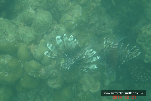 photo 1031960