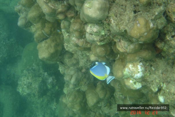 photo 1031961