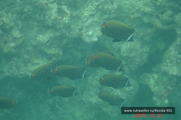 photo 1031962