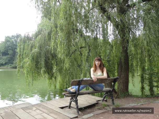 photo 388636