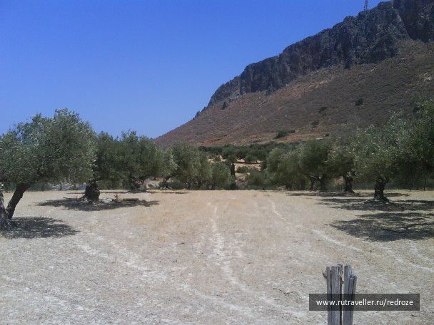 photo 236667