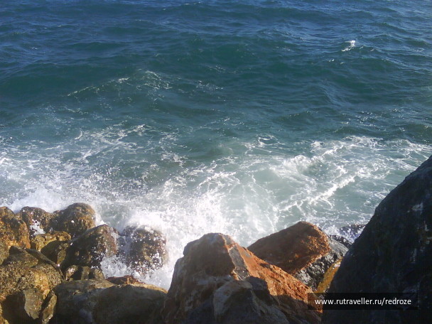 photo 236668