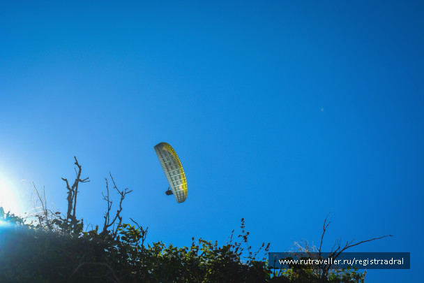 photo 1442921