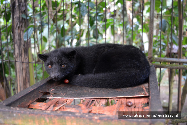 photo 1442925