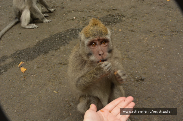 photo 1442928