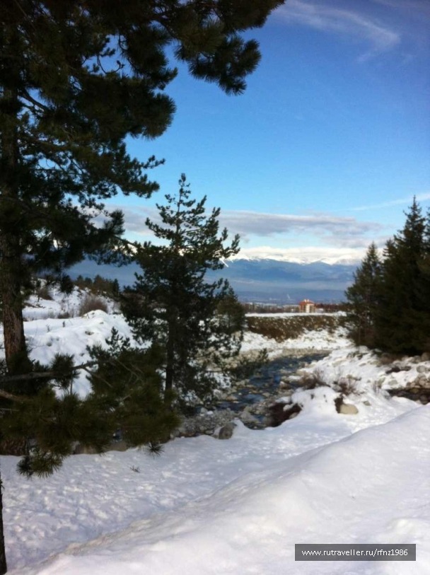photo 253668