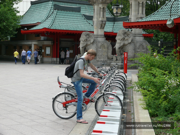photo 257773