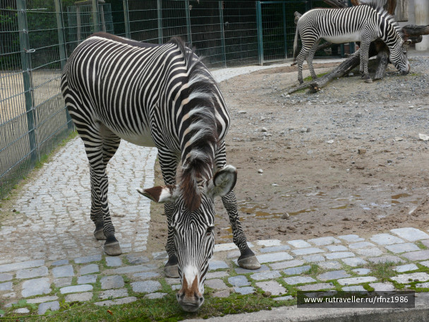 photo 257778
