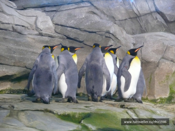 photo 257783