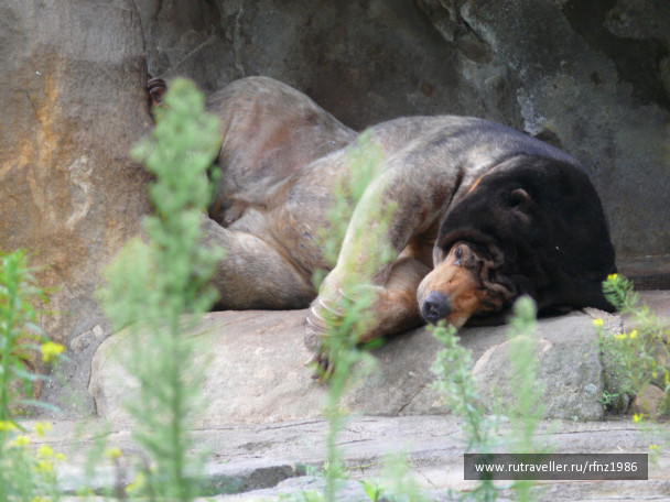 photo 257786
