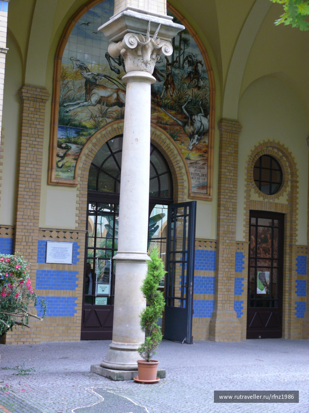 photo 257793