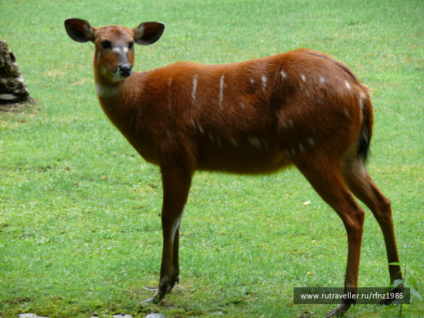 photo 257796