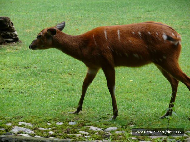 photo 257797