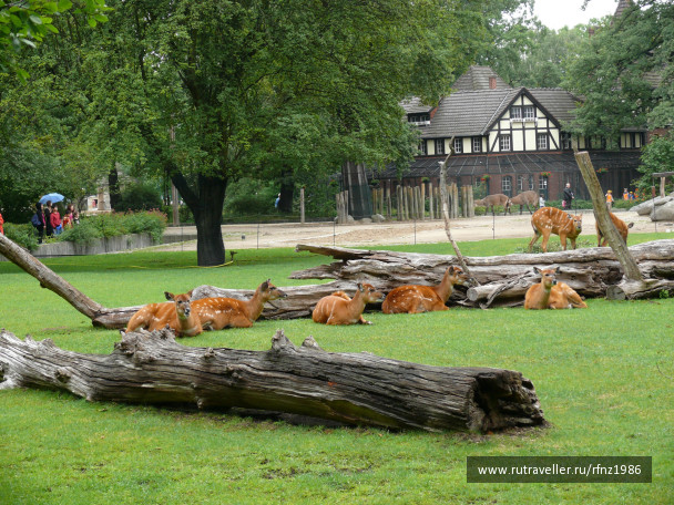 photo 257798