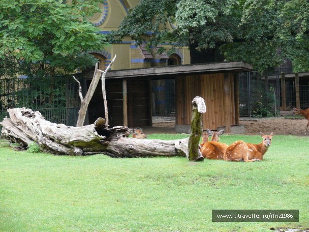 photo 257799