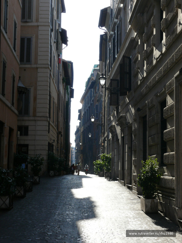 photo 257915
