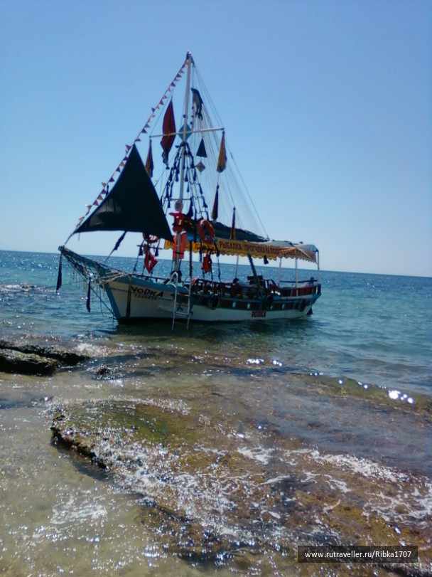 photo 242457