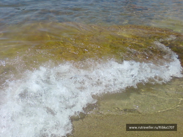 photo 242458