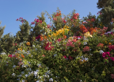 photo 910918