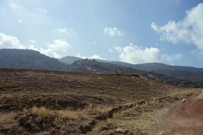photo 917061