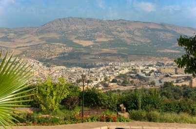 photo 979773