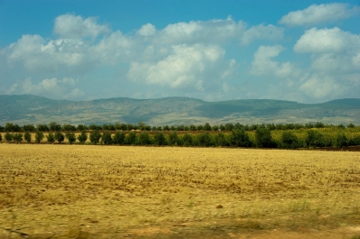 photo 979789