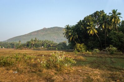 photo 1266221