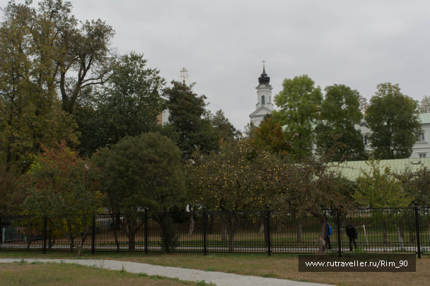 photo 1392844