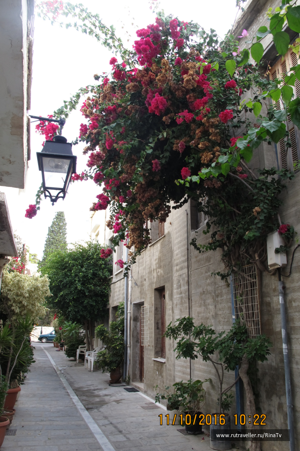 photo 1412552