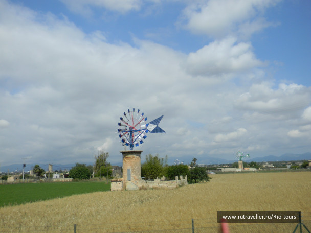 photo 145496