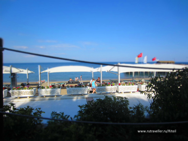 photo 439577