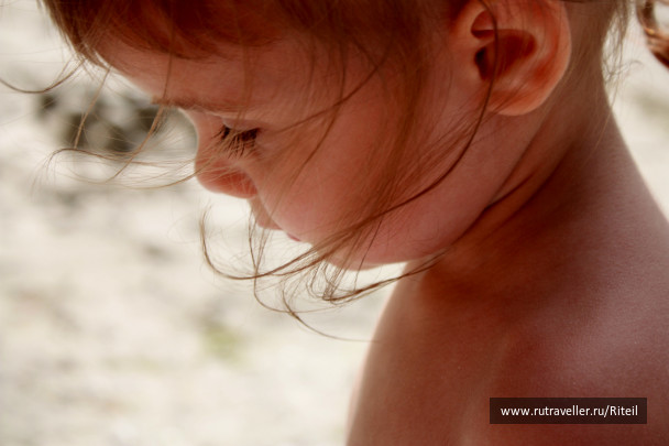 photo 439728