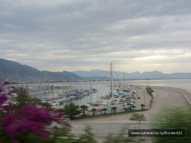 photo 809981