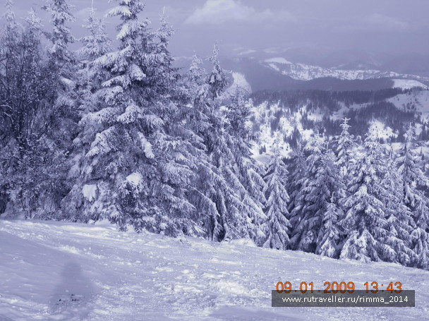 photo 1044851