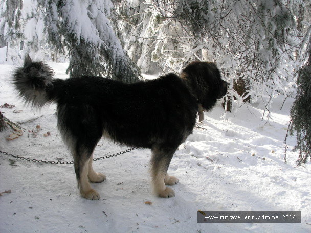photo 1044855
