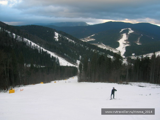 photo 1232444
