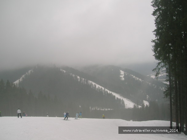 photo 1232447