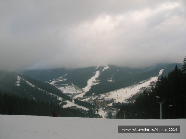 photo 1232448