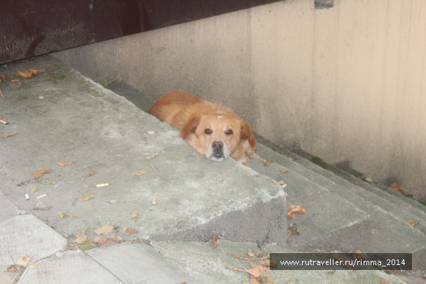 photo 1095241