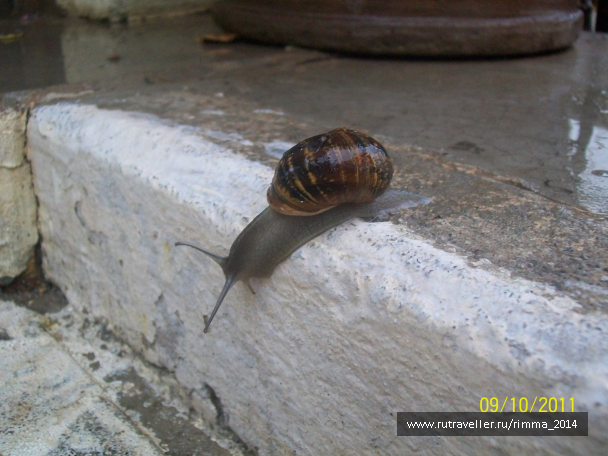 photo 1051465