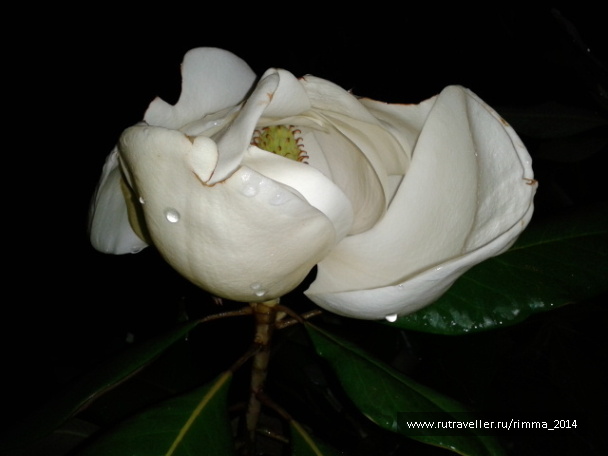 photo 1044859
