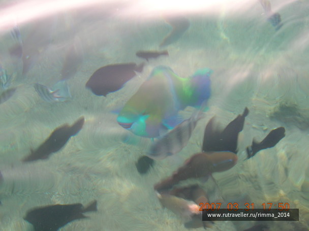 photo 1301020